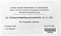 Image Associated With the Occurence
